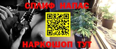 трава Пенза