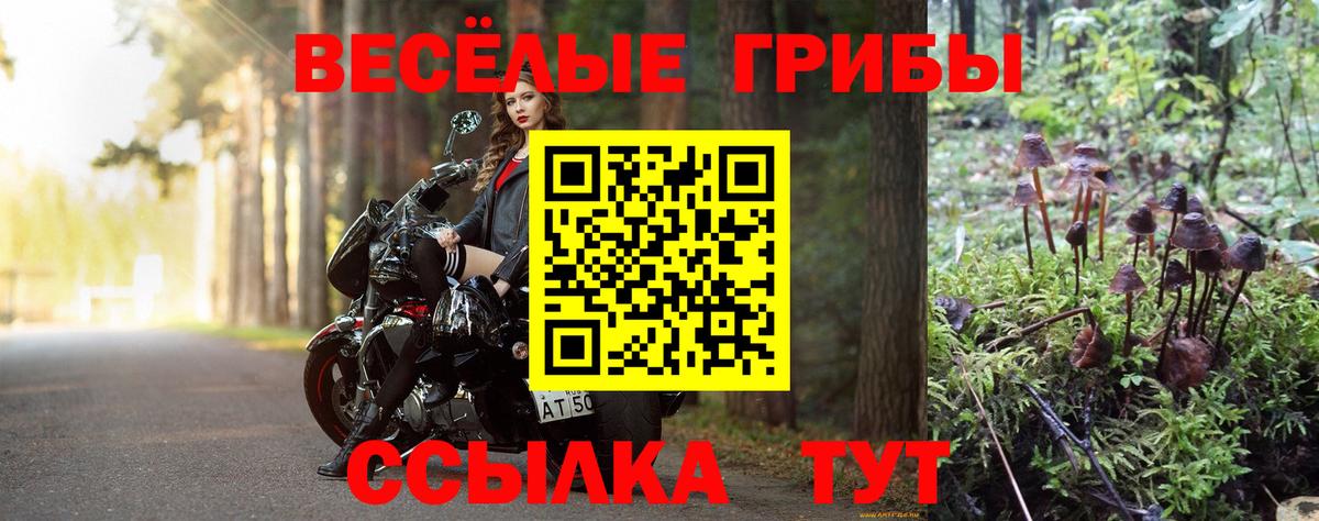 Псилоцибиновые грибы Cubensis  Псилоцибиновые грибы Psilocybe  Славянск-на-Кубани  Вход с VPN 