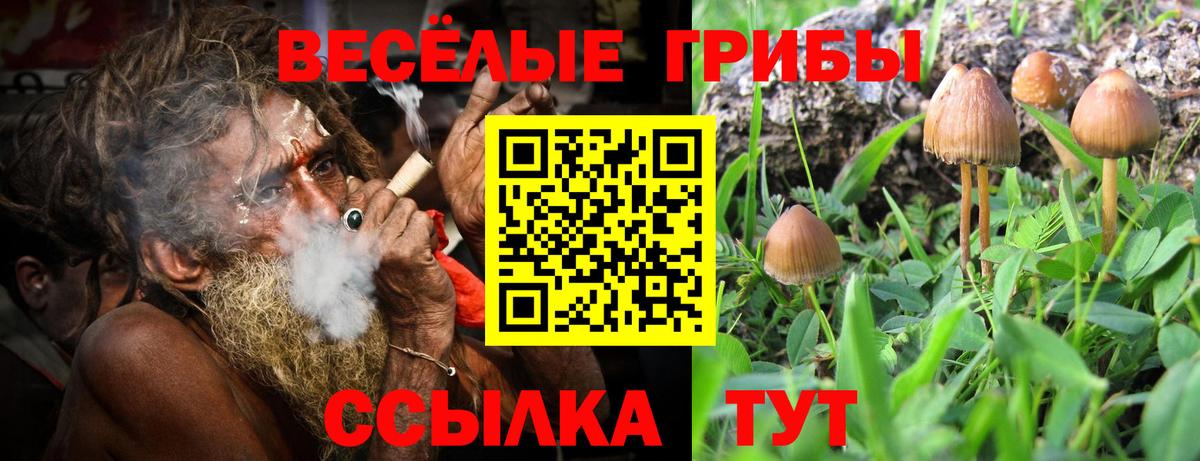 Галлюциногенные грибы GOLDEN TEACHER Славянск-на-Кубани
