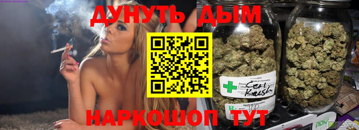 Канабис сатива Славянск-на-Кубани